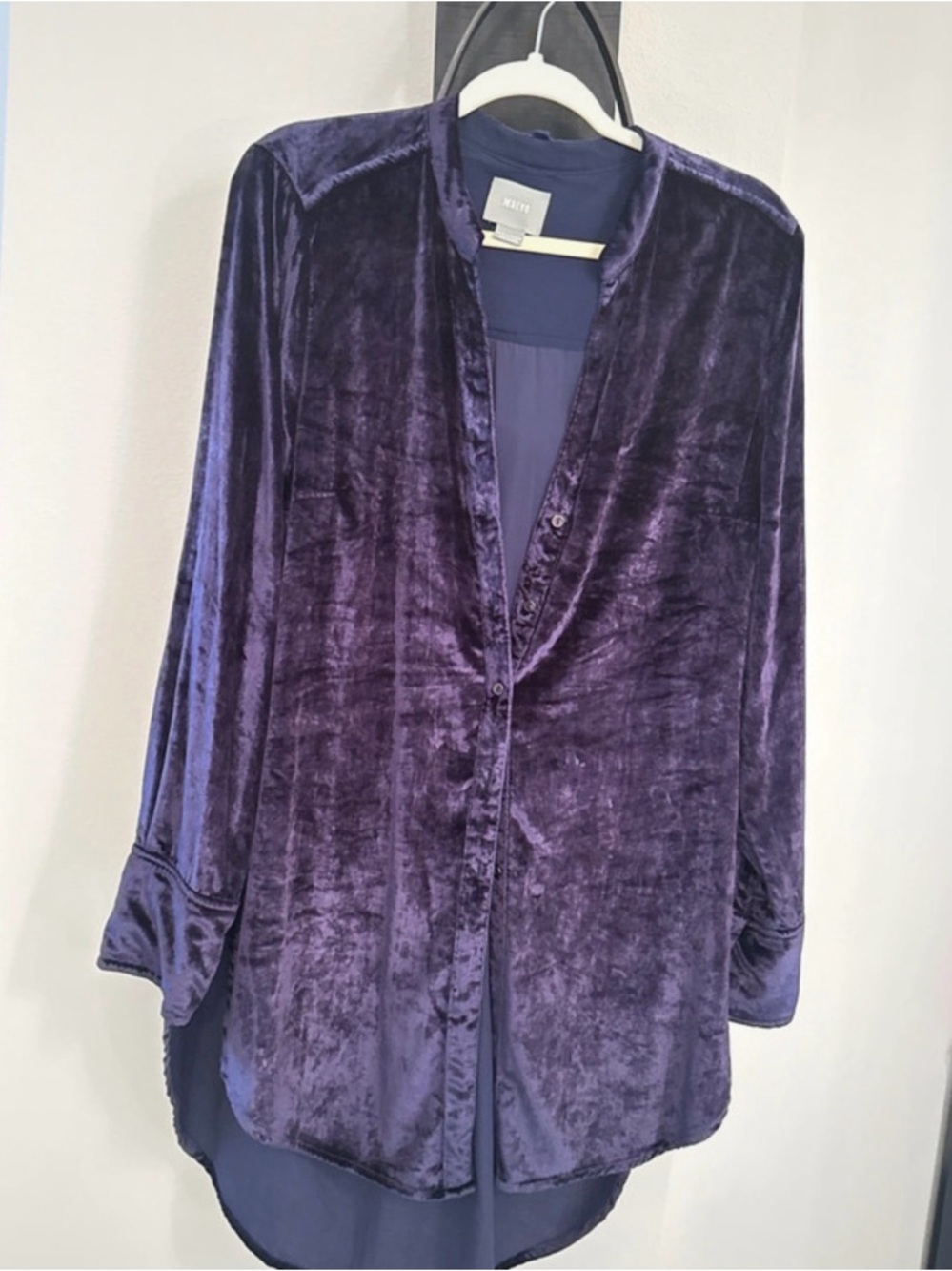 Brie Crushed Velvet Button-Up Blouse